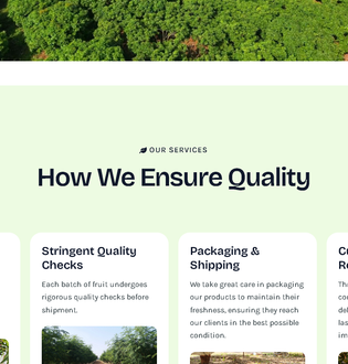 UI/UX Showcase 4